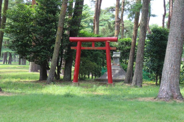 写真