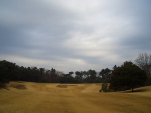 20090118