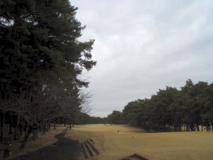 20090308