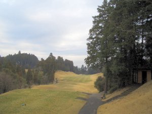 20090328
