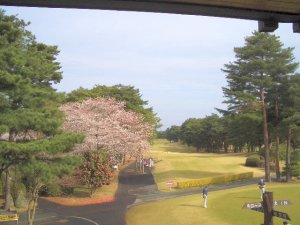 20090405