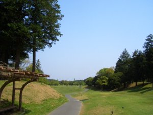 20090419