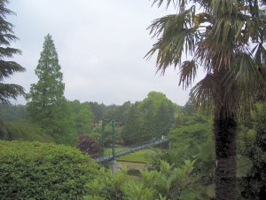 20090506