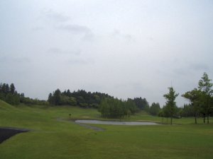 20090517