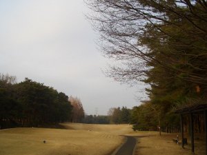 20090118