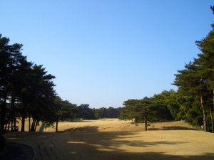 20090214