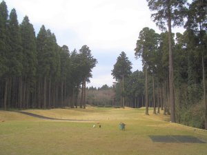 20090328