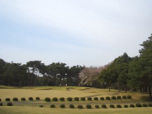 20090405