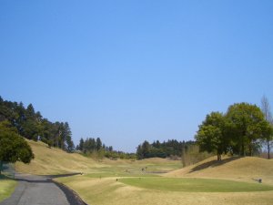 20090411