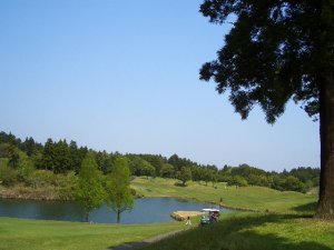 20090419
