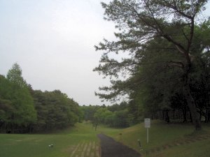 20090503