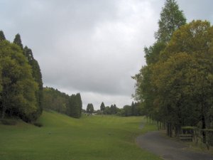 20090505