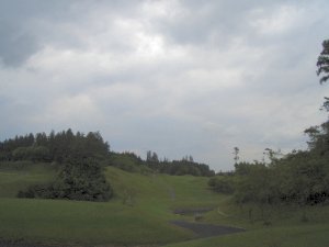 20090516