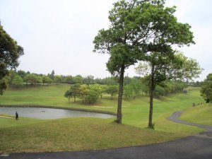 20090517