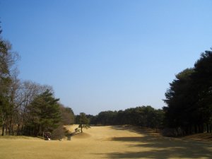 20090214