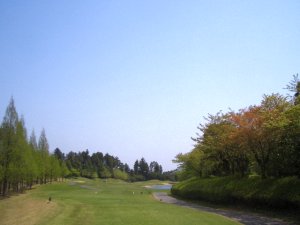 20090419