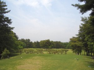 20090503