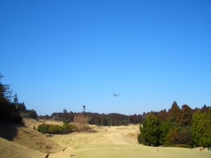 20100130