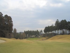 20090328