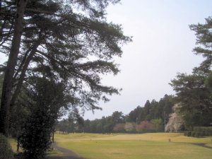 20090405