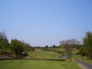 20090419