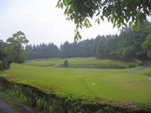20090506