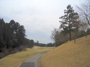 20090328