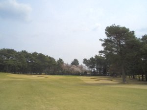 20090405