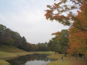 20091108