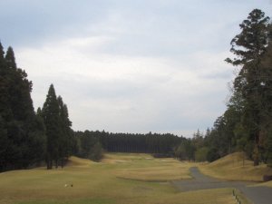 20090328