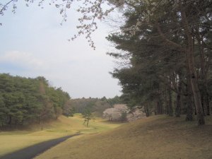 20090405