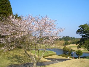 20090411