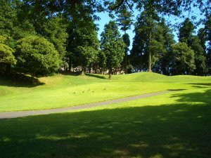 20090726