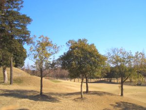 20100130
