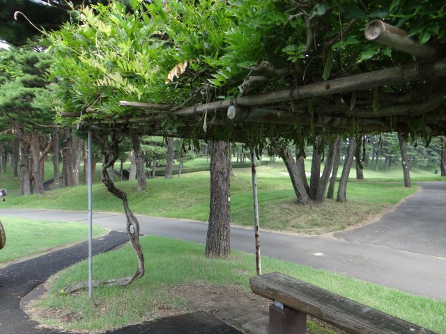 20150730