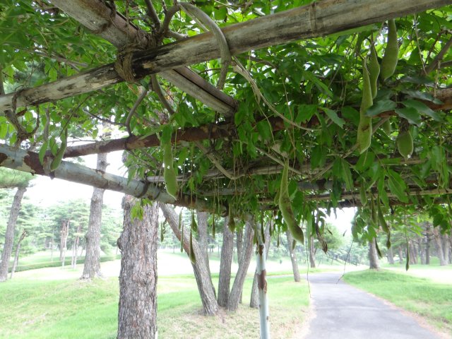 20150730