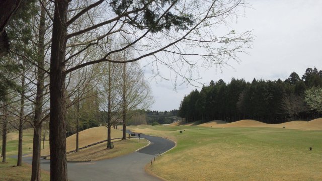 20110416|京CC|コース写真3