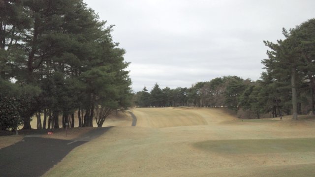 20110403|江戸崎CC|コース写真3