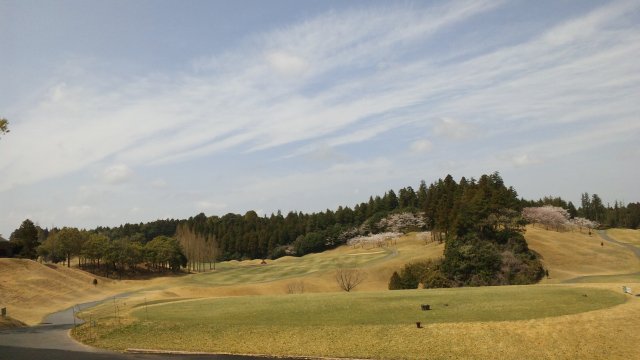 20110416|京CC|コース写真4
