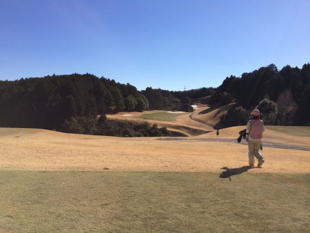 20150112|裾野