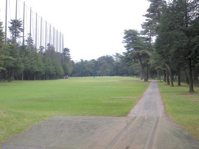 紫あやめ