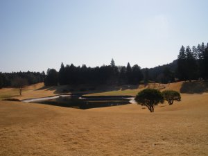 宍戸ヒルズCC|コース写真2
