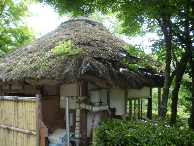 白竜湖カントリークラブ|コース写真3