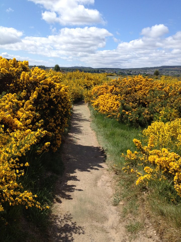 Tain Garden