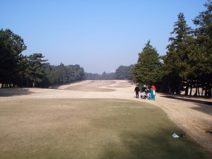 20081102
