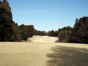 20090219