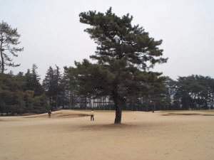 20090213