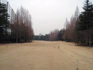 20090213