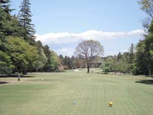 20090415