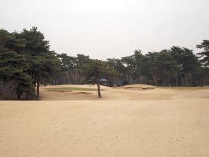 20090213